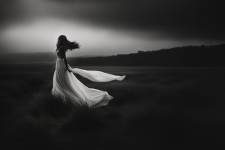 Yann MALOTTI - SARL YANN MALOTTI