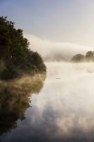 Nicolas RIFFAUD - Nicolas RIFFAUD